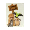 étui santé animaux carnet vaccination Color pop fabrication française