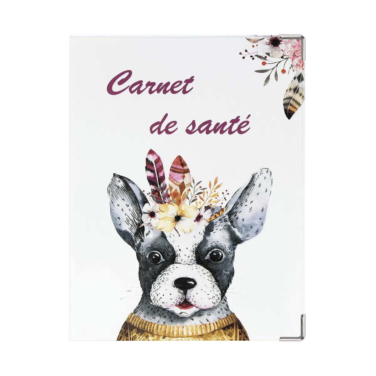 étui santé animaux carnet vaccination Color pop fabrication française