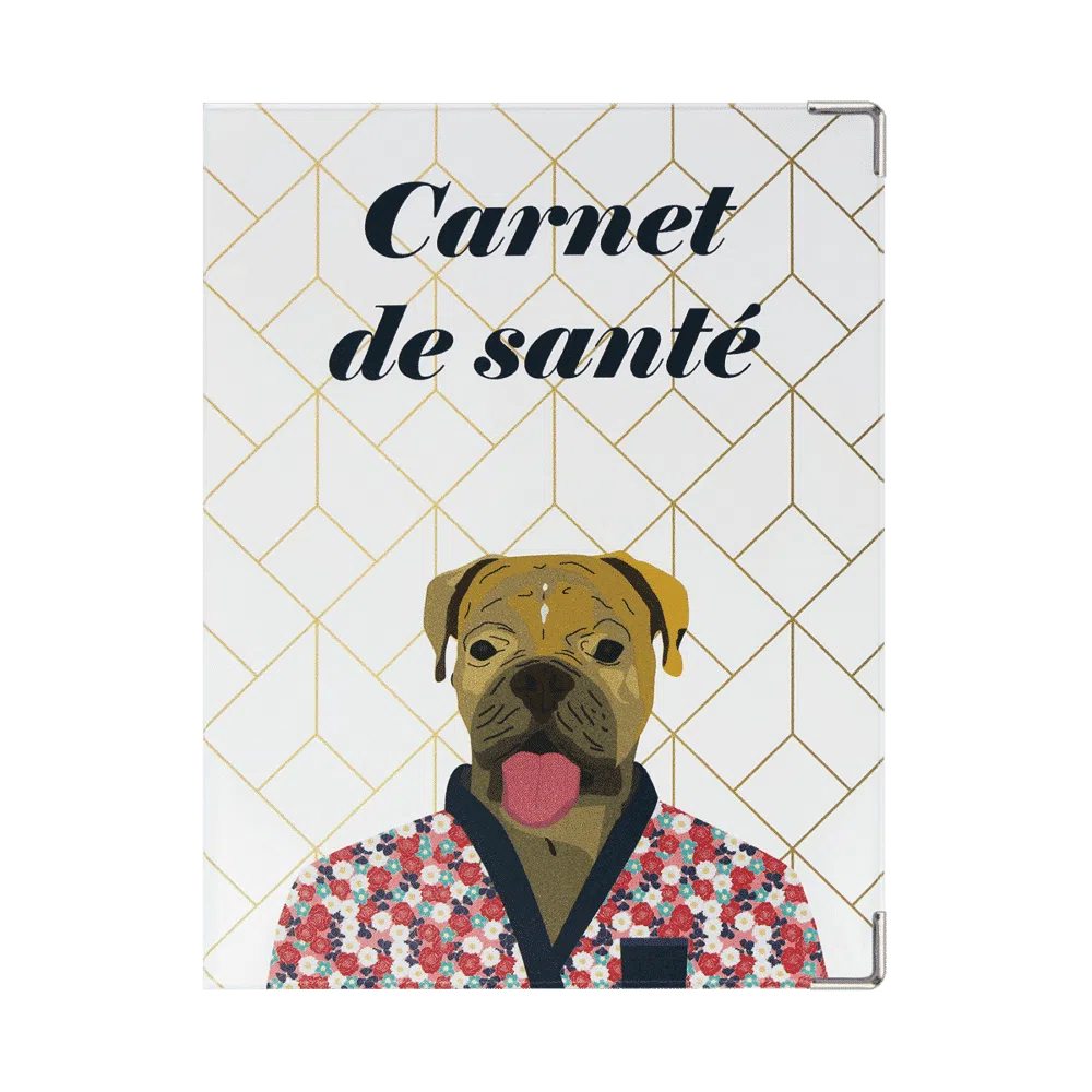 étui santé animaux carnet vaccination Color pop fabrication française