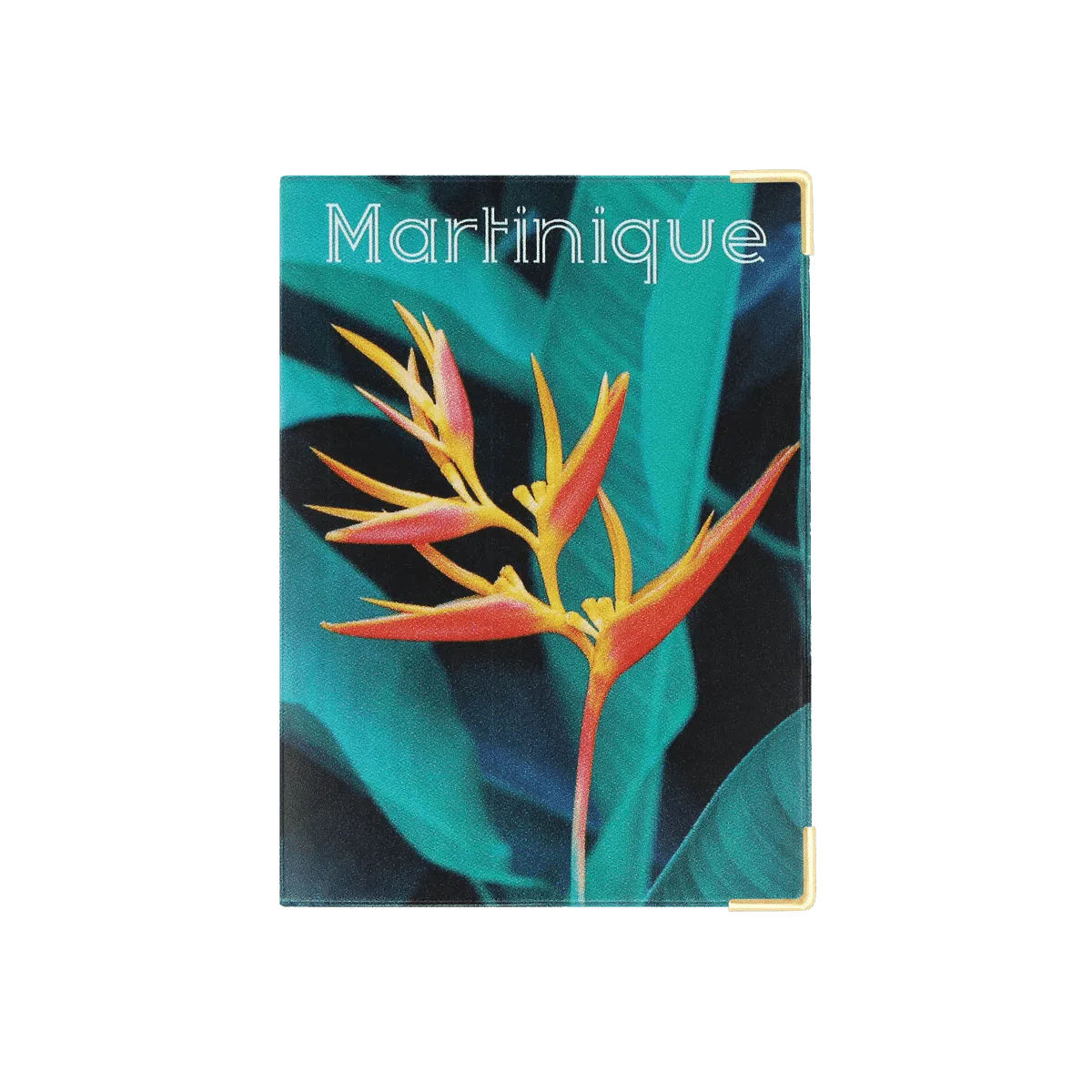 Passeport voyage valise Color pop fabrication française