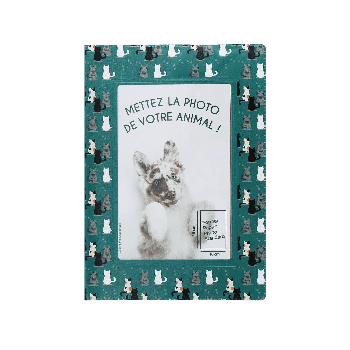 étui santé animaux personnalisable carnet vaccination Color pop fabrication française