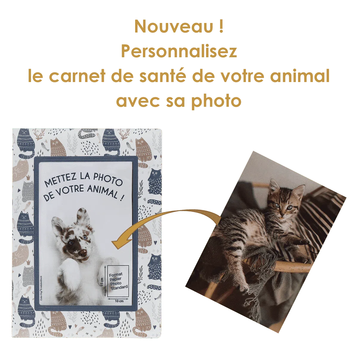 étui santé animaux personnalisable carnet vaccination Color pop fabrication française