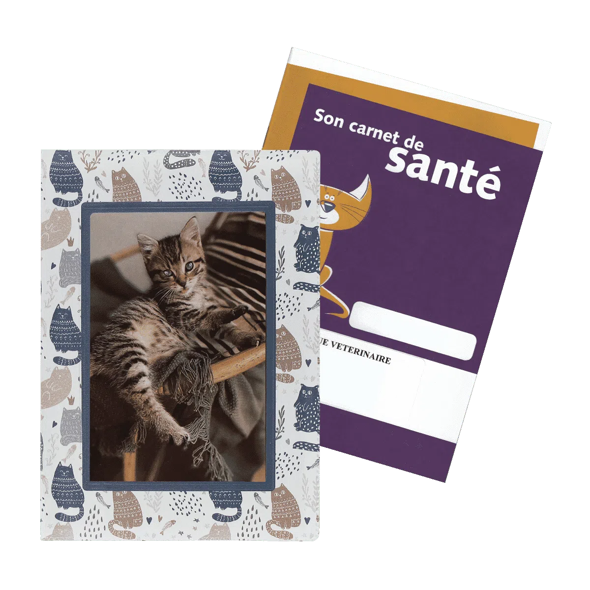étui santé animaux personnalisable carnet vaccination Color pop fabrication française