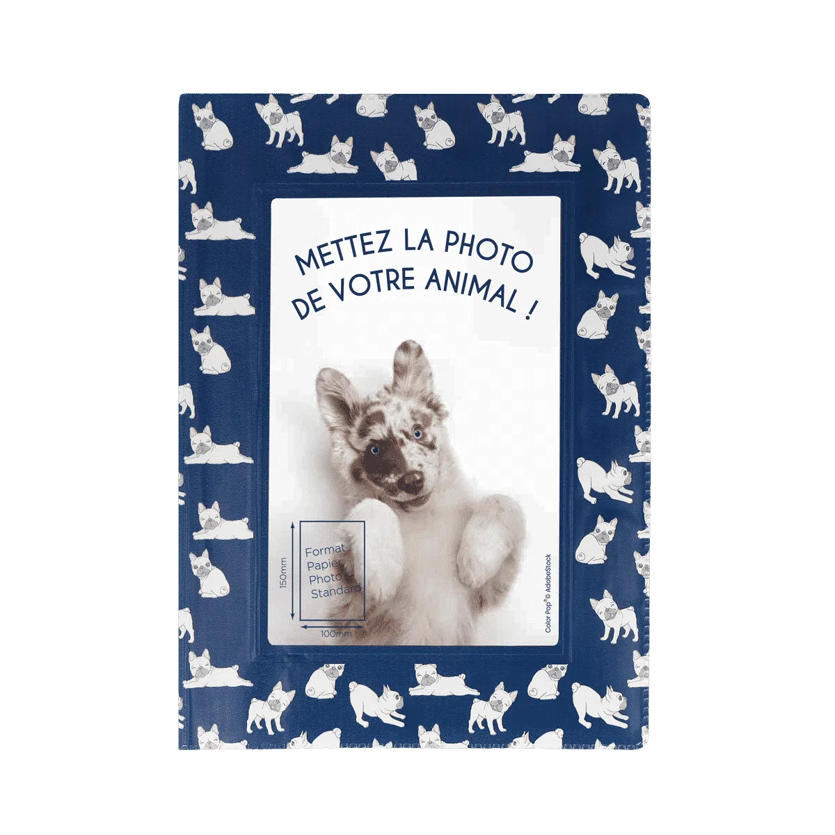 étui santé animaux personnalisable carnet vaccination Color pop fabrication française