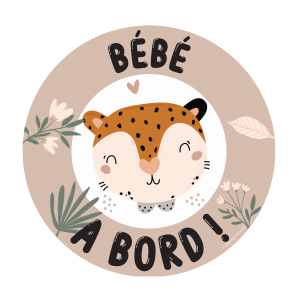 bébé a bord magnétique Color pop fabrication française