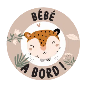 bébé a bord magnétique Color pop fabrication française