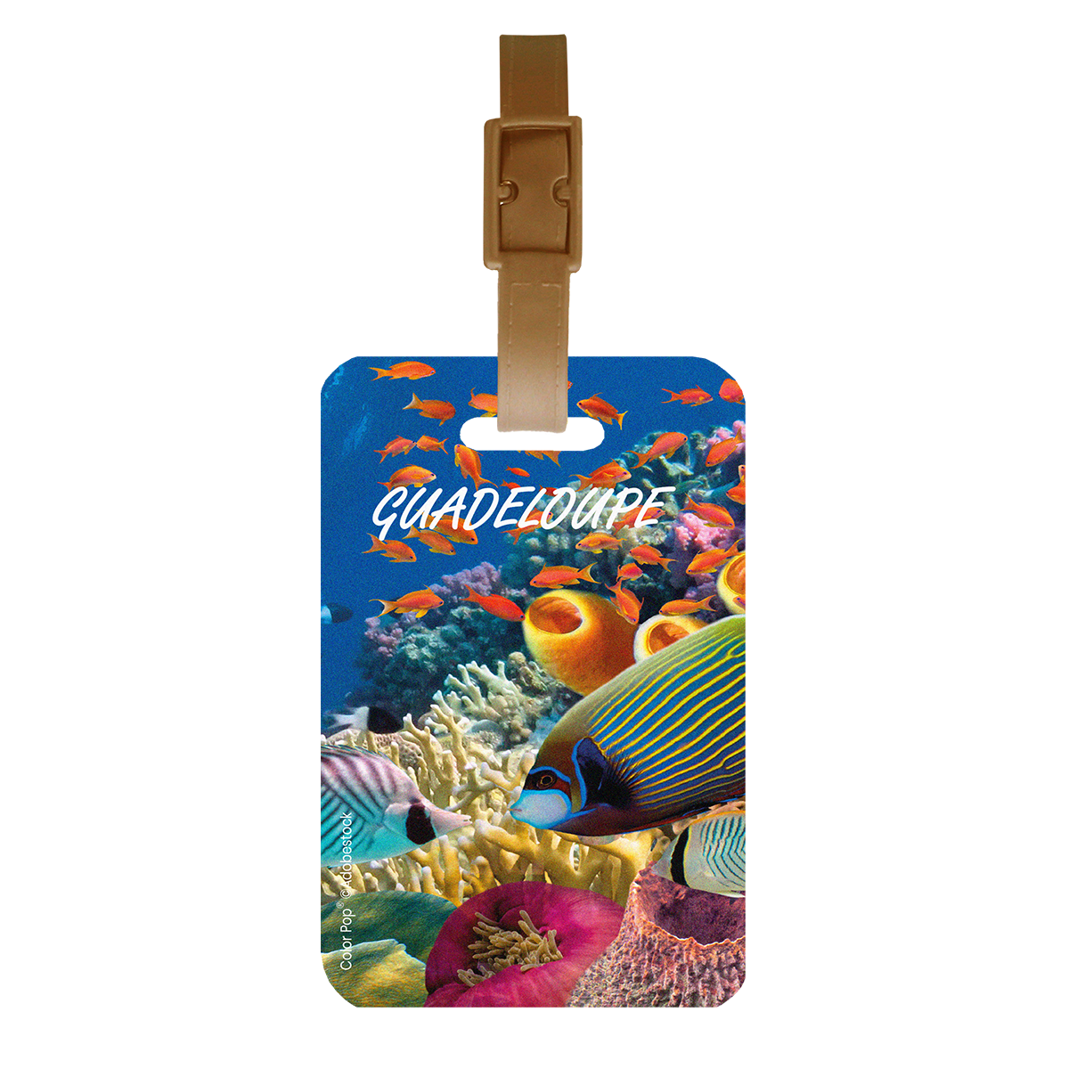 étiquette bagage Color pop fabrication française