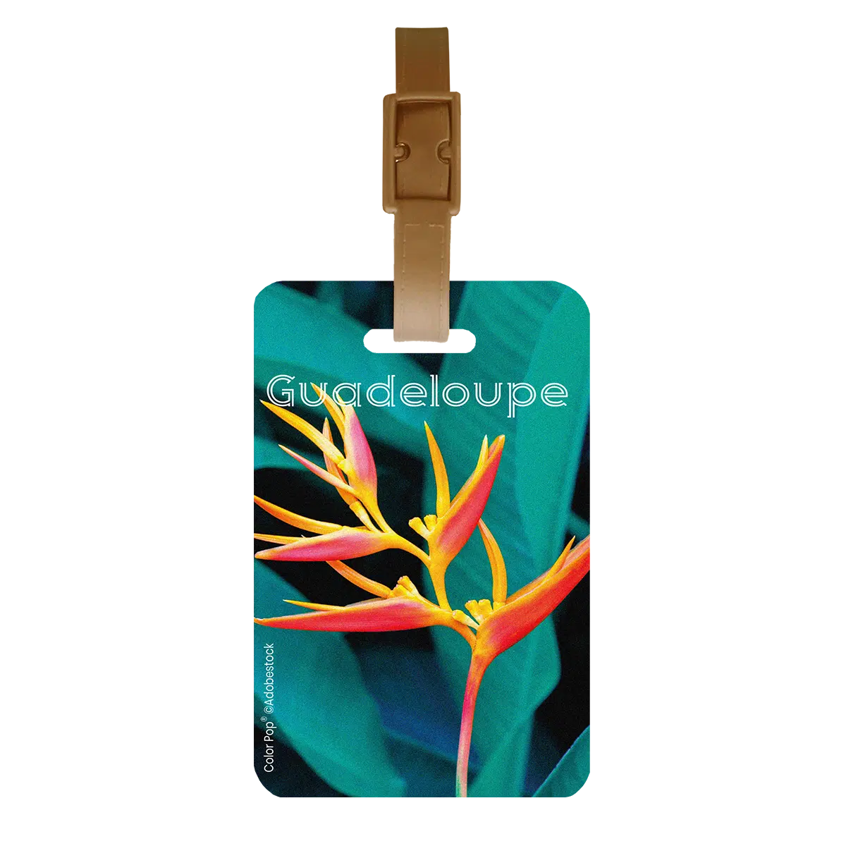 étiquette bagage Color pop fabrication française