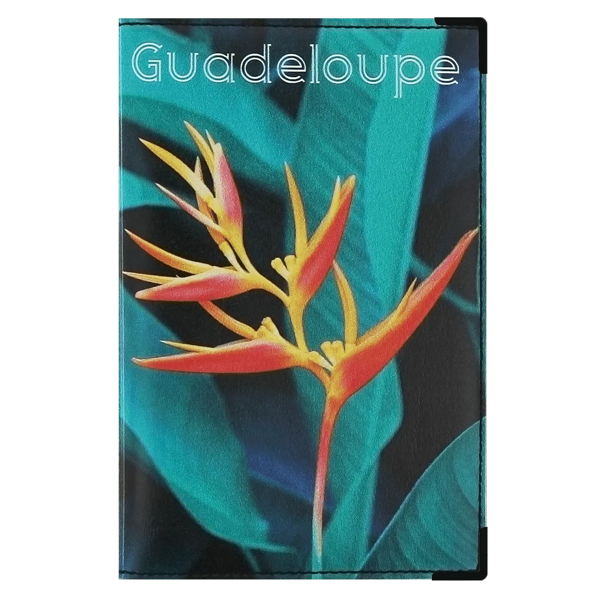 porte-papiers voiture étui carte grise permis de conduire Color pop fabrication française