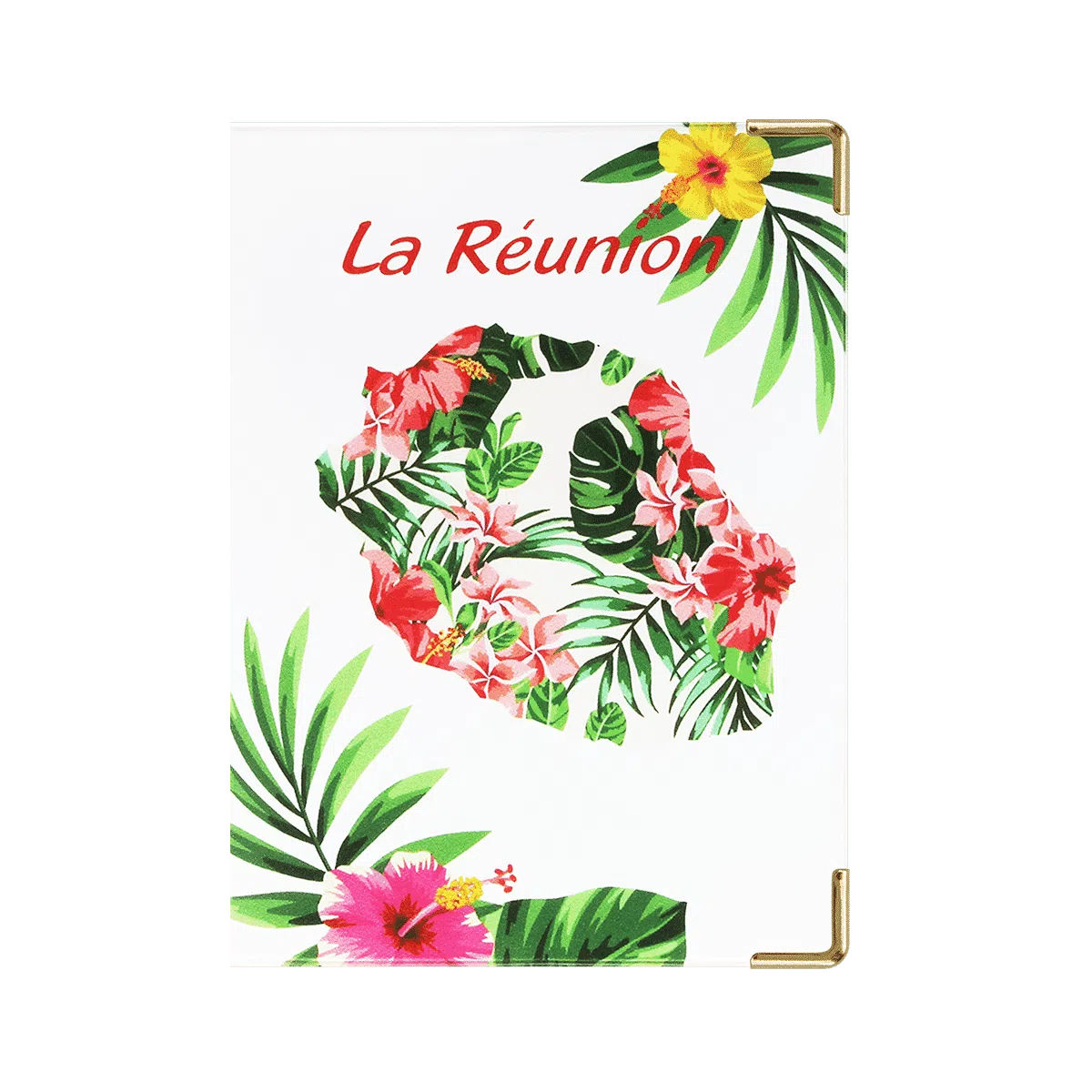 Protège Passeport voyage valise Color pop made in france anti humidité color pop 2023