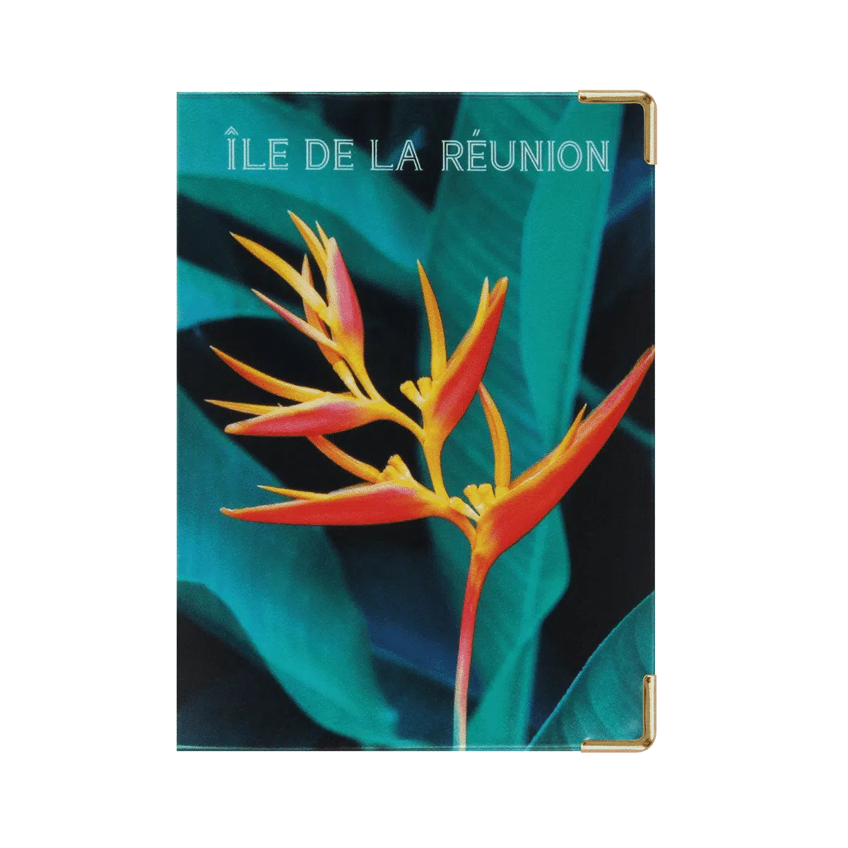 Passeport voyage valise Color pop fabrication française