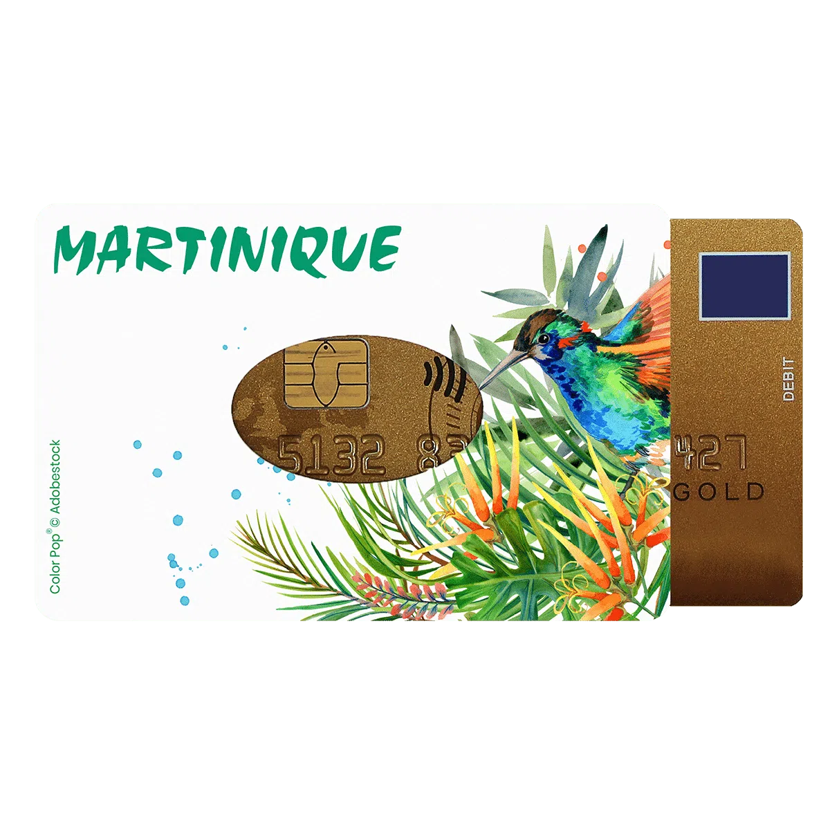 étui carte rigide Color Pop fabrication française