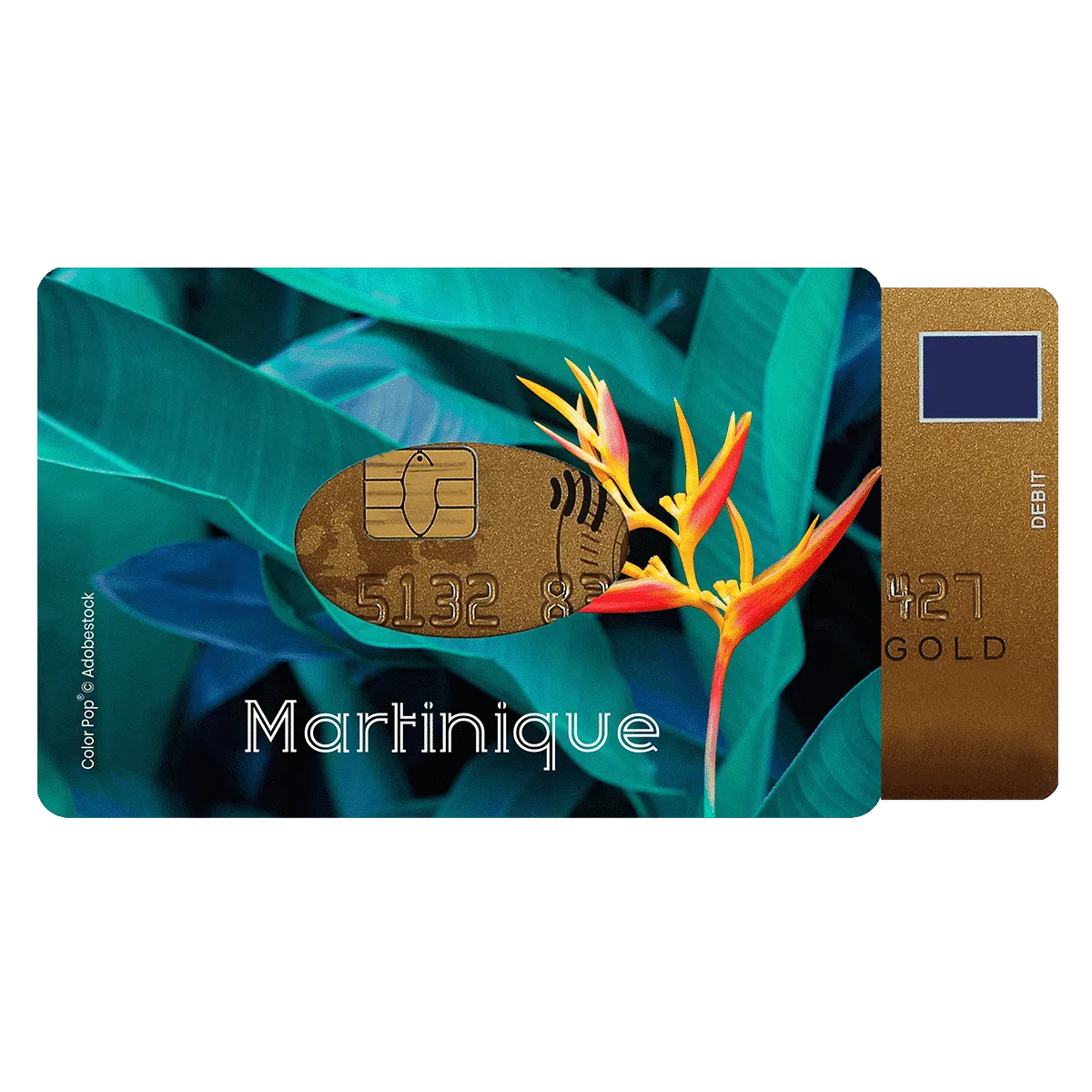 étui carte rigide Color Pop fabrication française