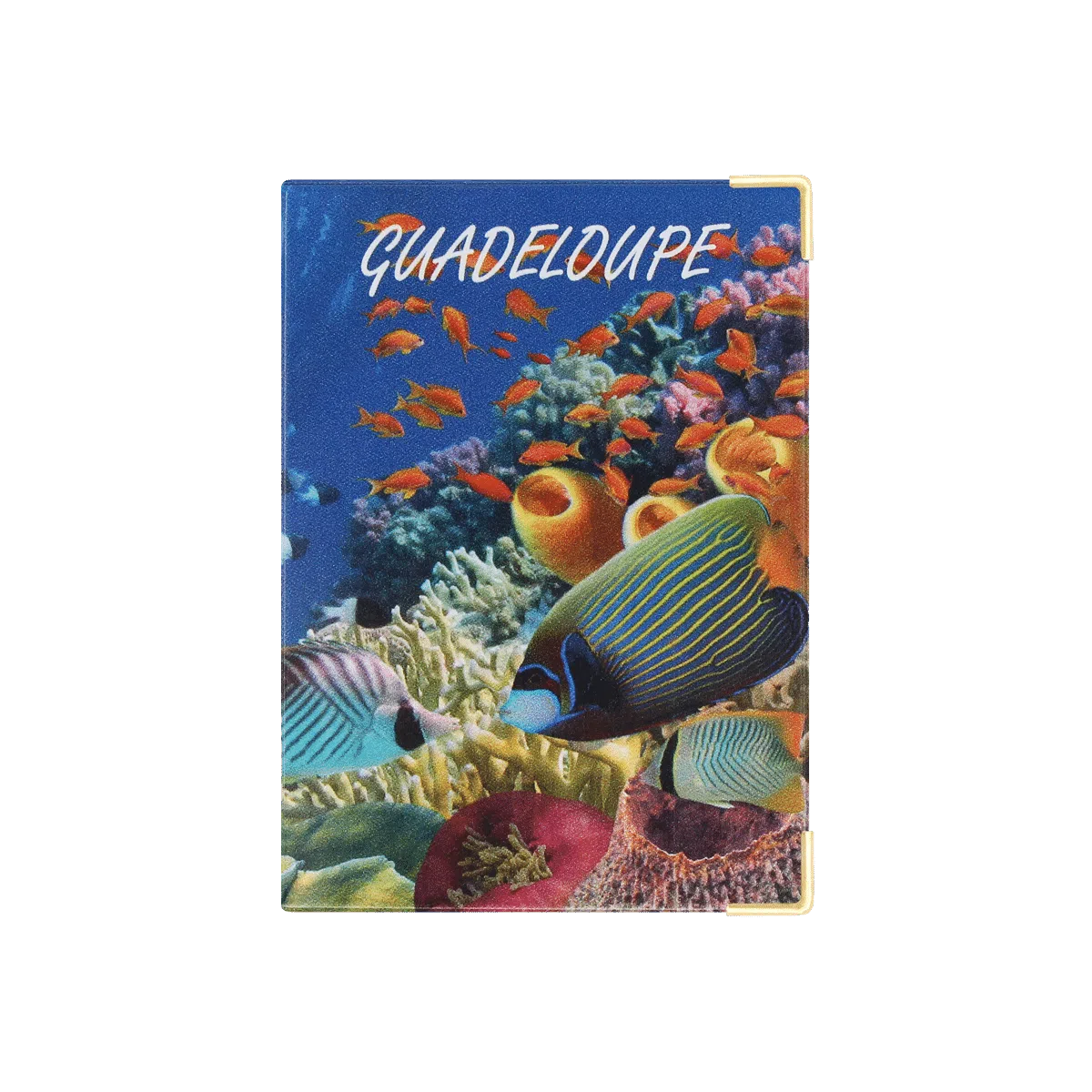 Passeport voyage valise Color pop fabrication française