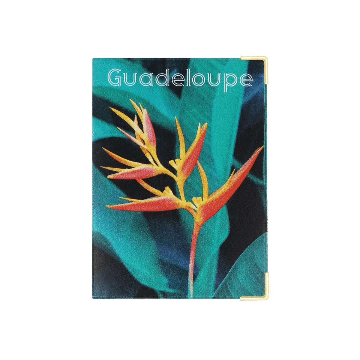 Passeport voyage valise Color pop fabrication française