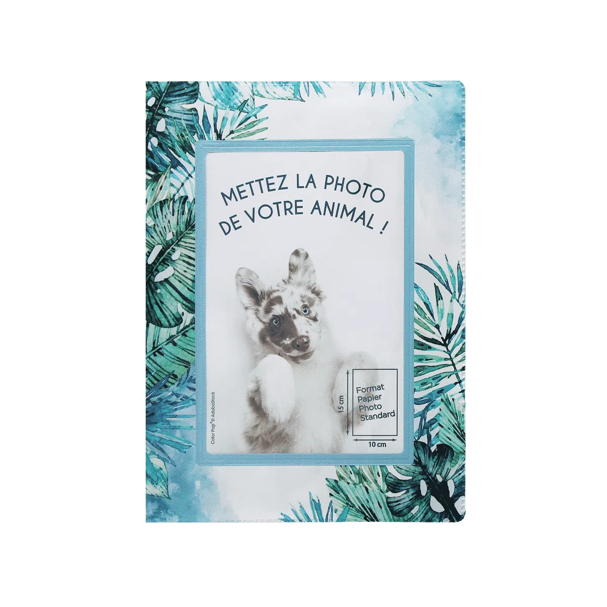 étui santé animaux personnalisable carnet vaccination Color pop fabrication française