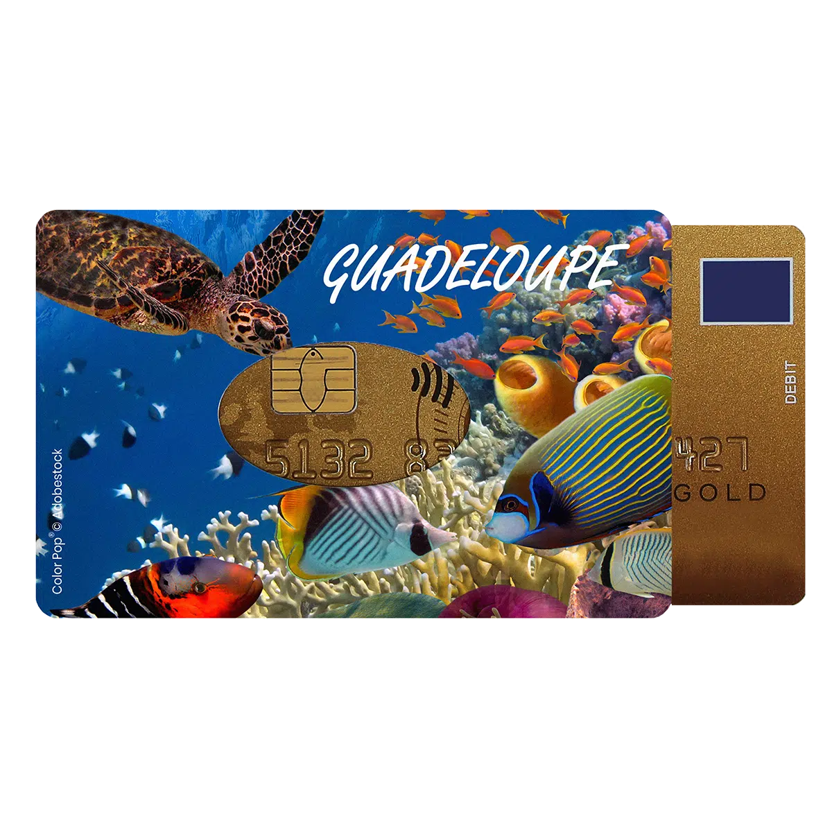 étui carte rigide Color Pop fabrication française