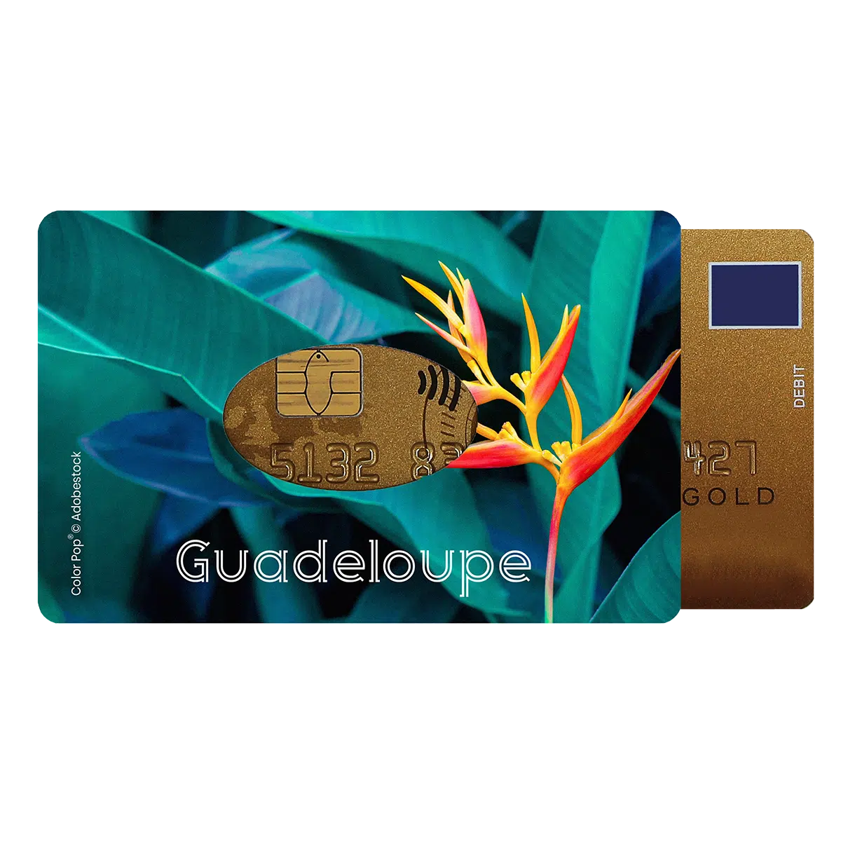 étui carte rigide Color Pop fabrication française