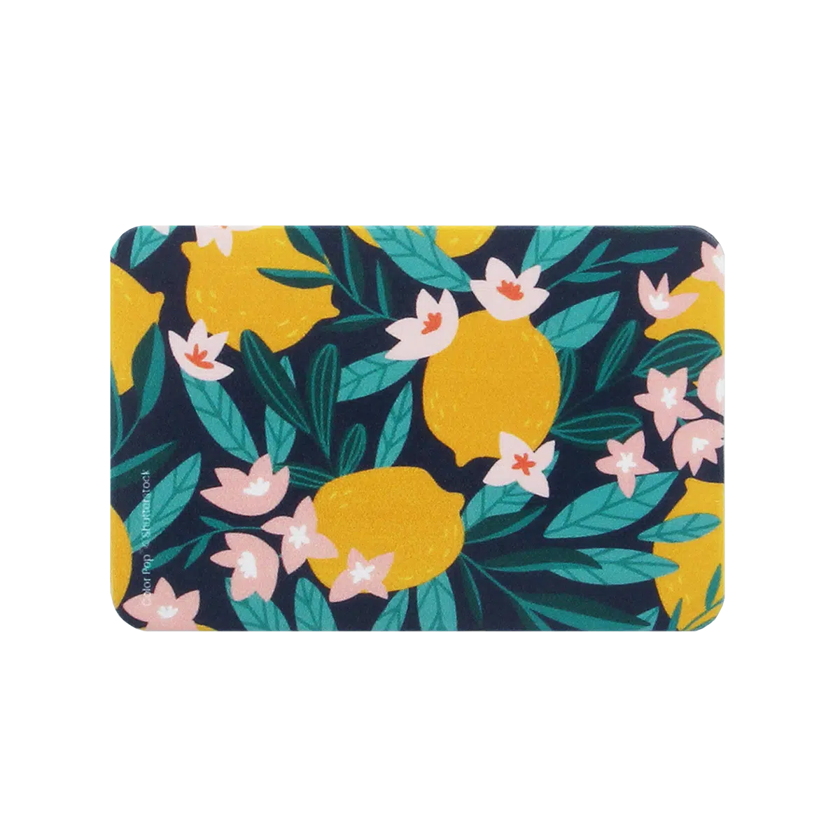 etui carte rigide biodégradable carte bancaire carte de transport carte de cantine carte de sport My Color Pop petite maroquinerie made in france fabrication française