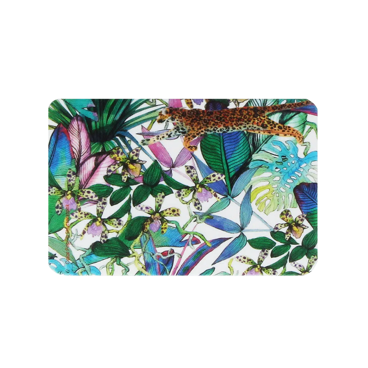 etui carte rigide biodégradable carte bancaire carte de transport carte de cantine carte de sport My Color Pop petite maroquinerie made in france fabrication française