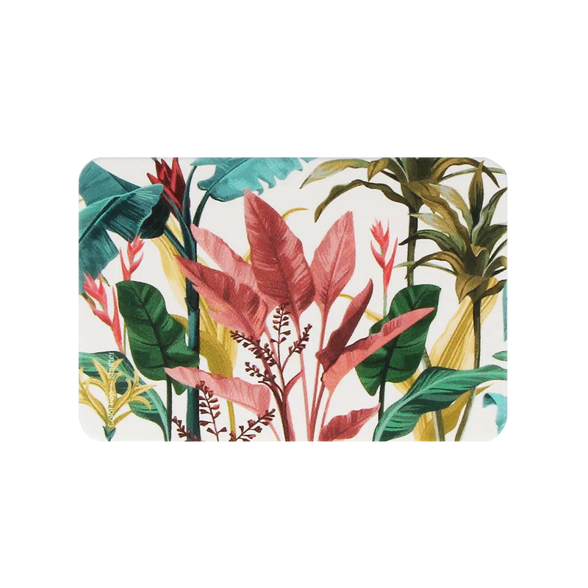 etui carte rigide biodégradable carte bancaire carte de transport carte de cantine carte de sport My Color Pop petite maroquinerie made in france fabrication française