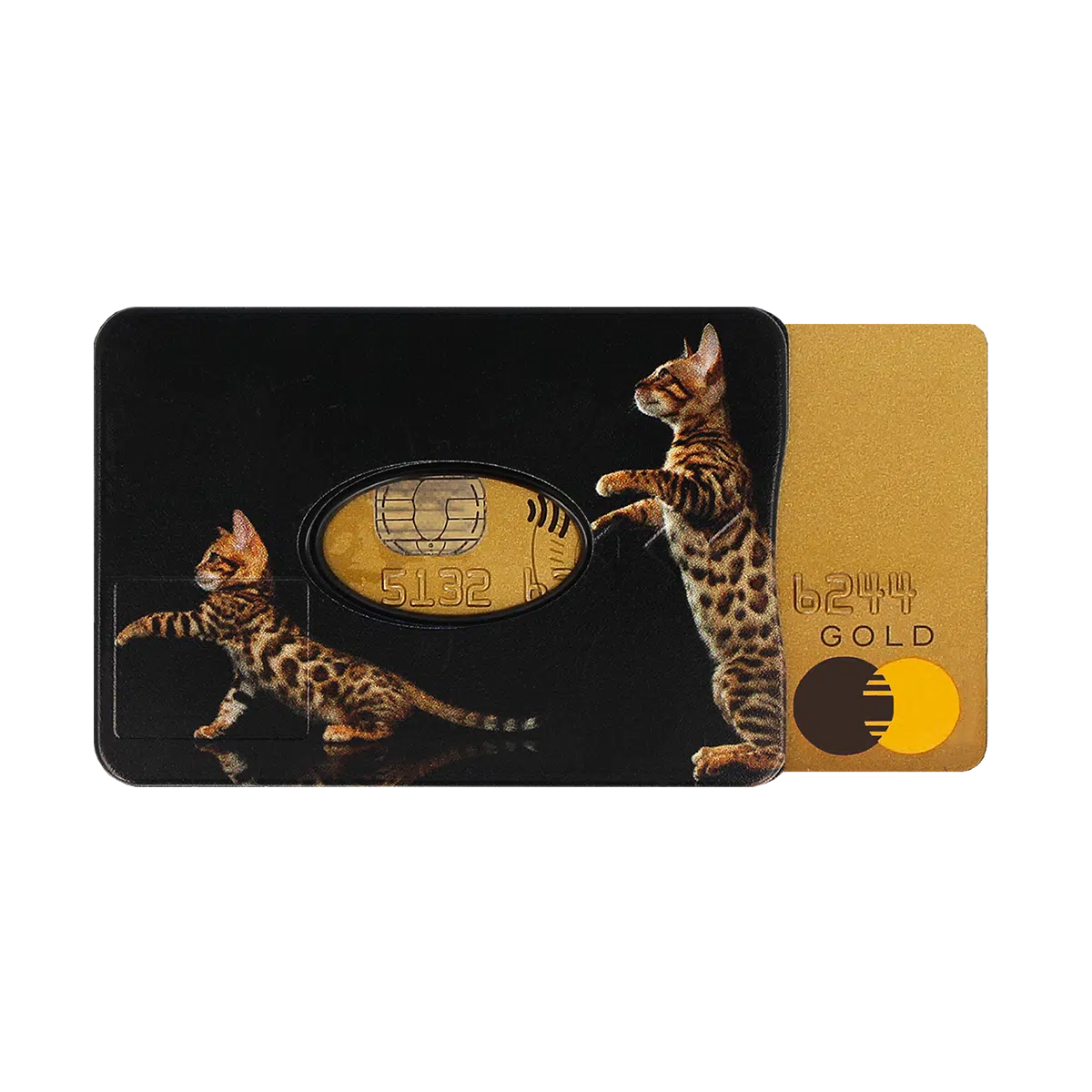 étui carte rigide anti-rfid anti-piratage Color pop fabrication française