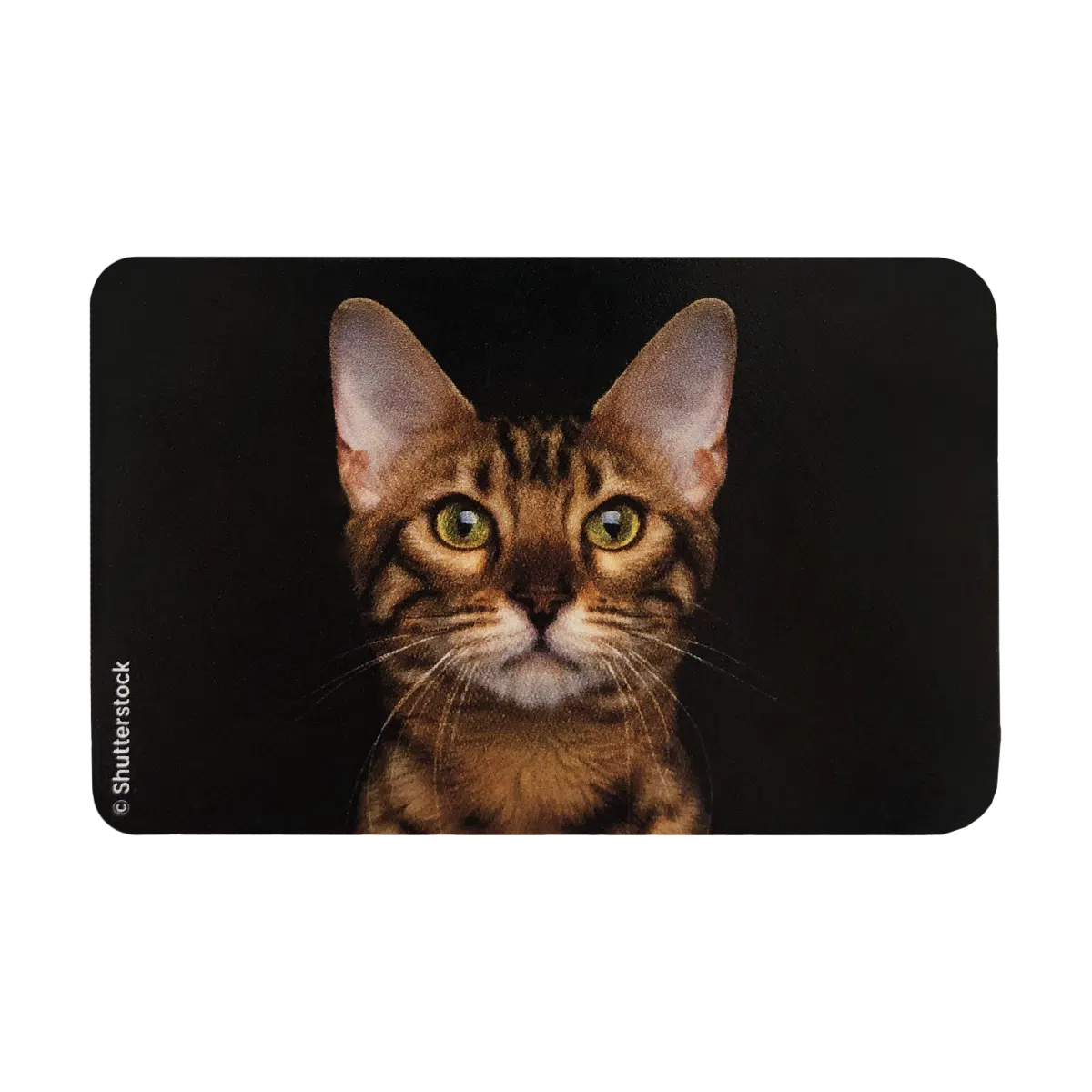 3 chat bengal blindé 613 étui pour carte blindée anti rfid anti piratage