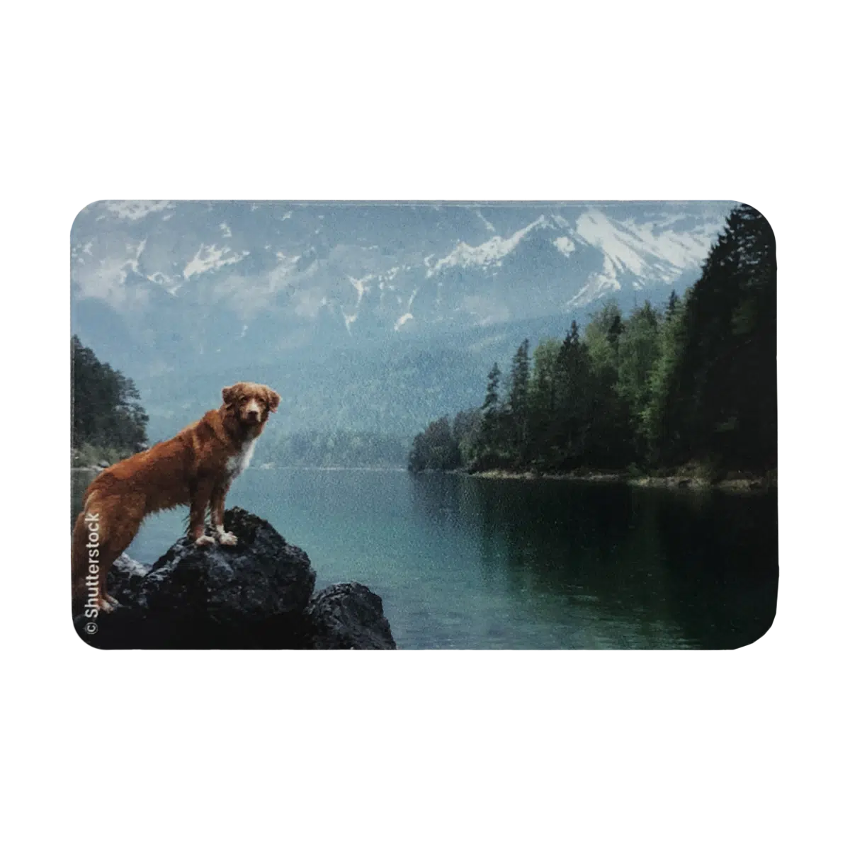 3 doug 613 étui pour carte blindée anti rfid anti piratage