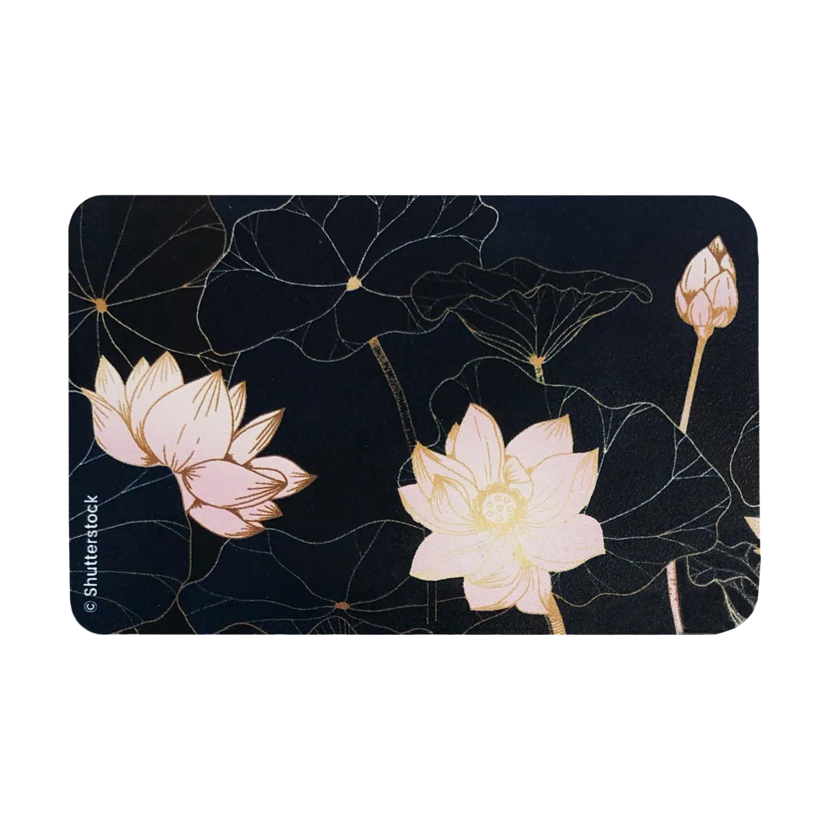 3 lianou printemps 613 étui pour carte blindée anti rfid anti piratage