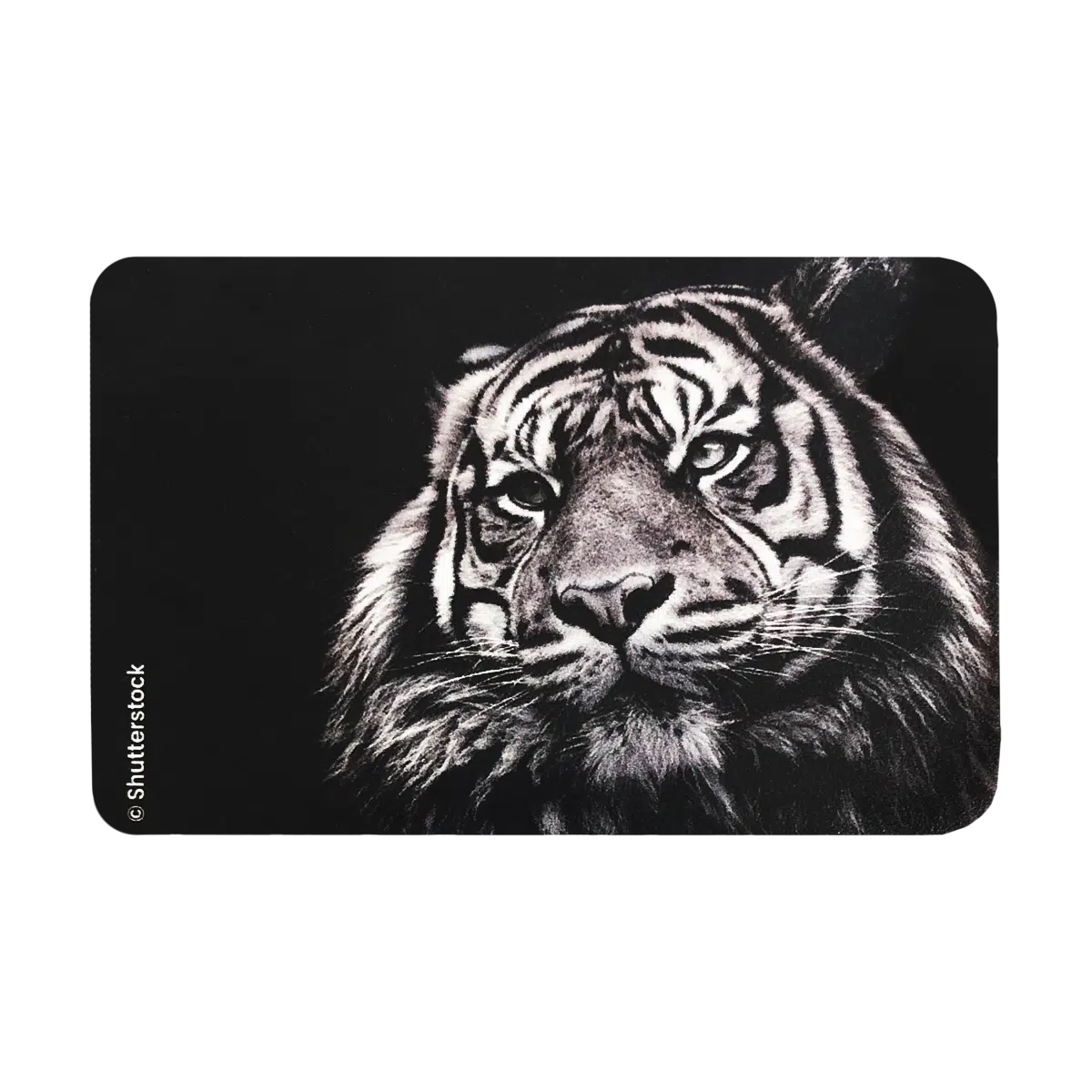 3 tigre 613 étui pour carte blindée anti rfid anti piratage