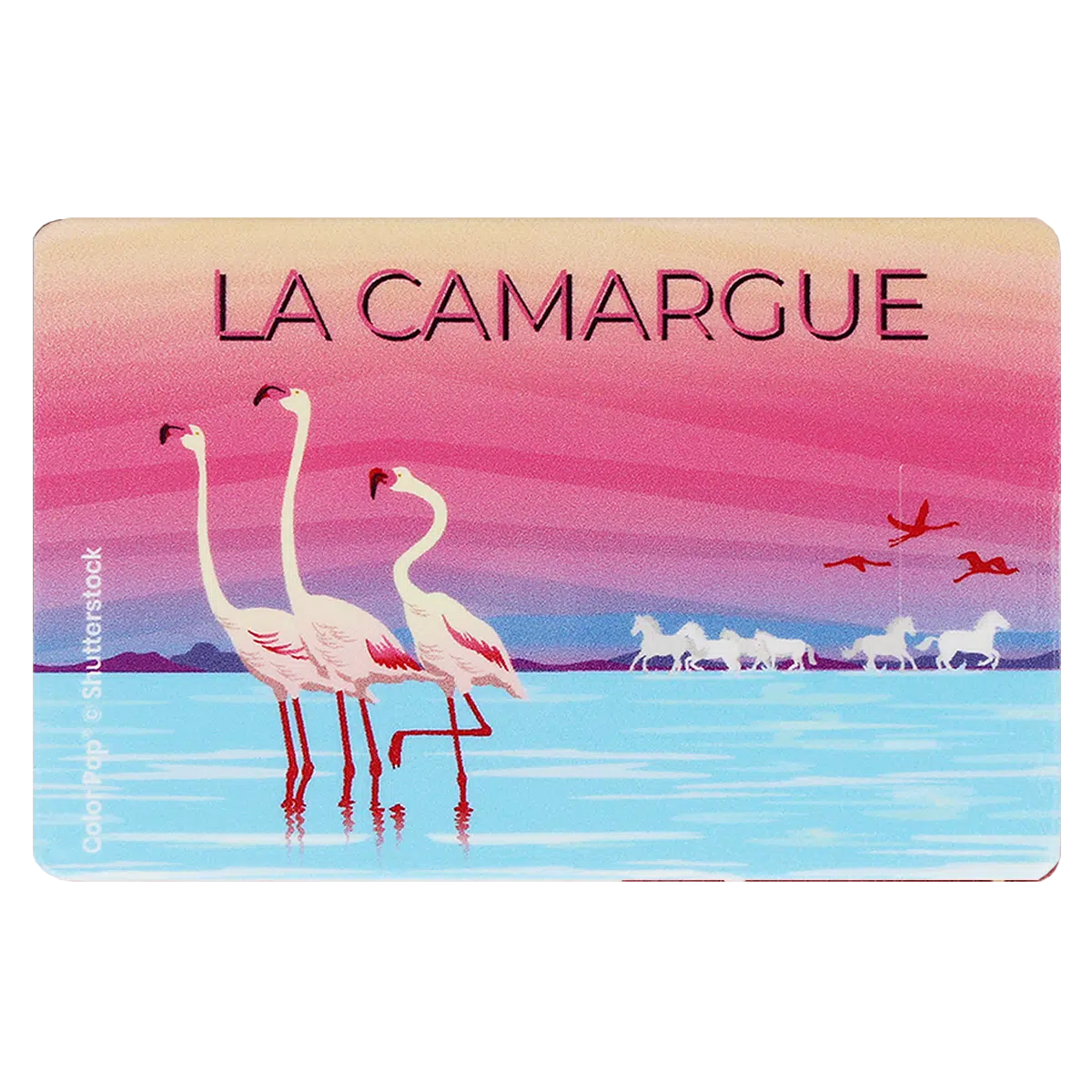 étui carte rigide Color Pop fabrication française