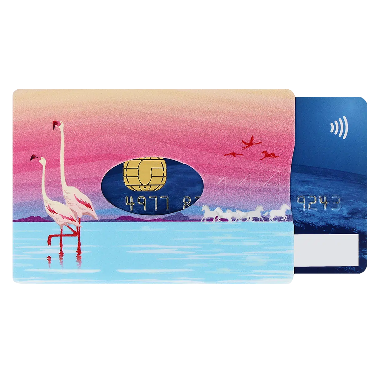 étui carte rigide Color Pop fabrication française