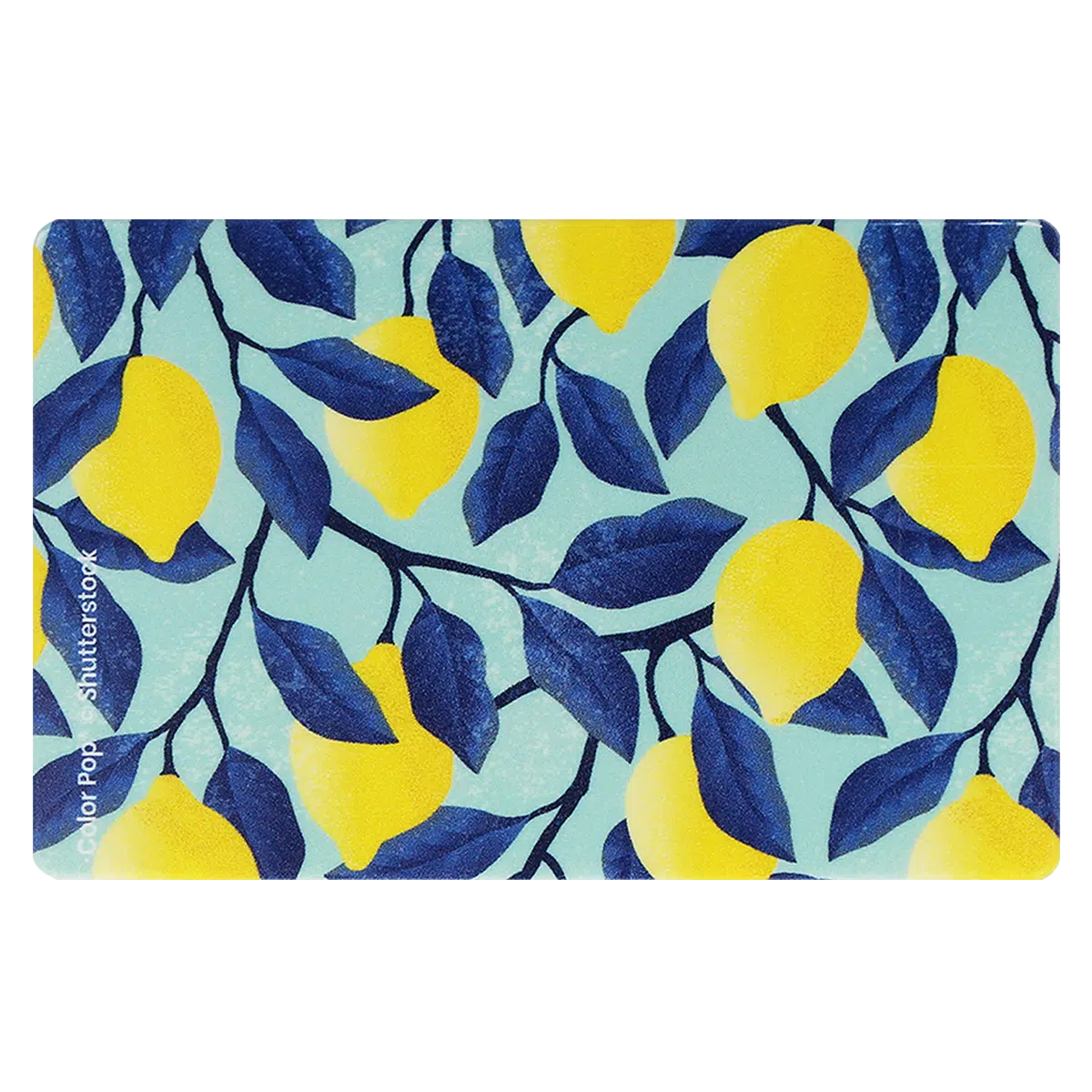 étui carte rigide Color Pop fabrication française