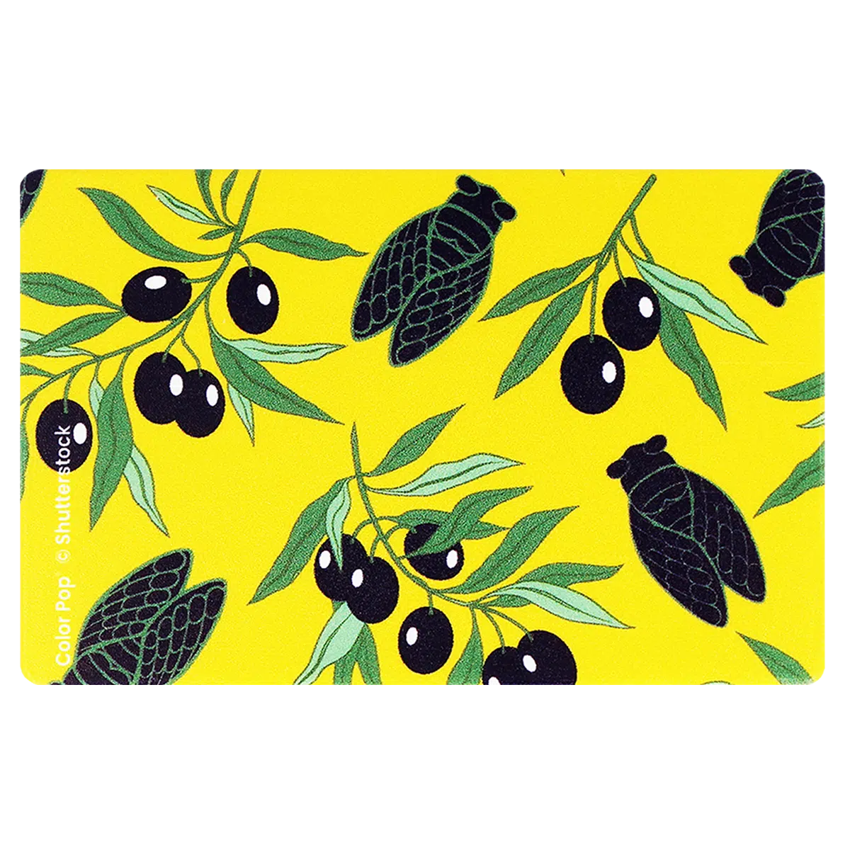 étui carte rigide Color Pop fabrication française