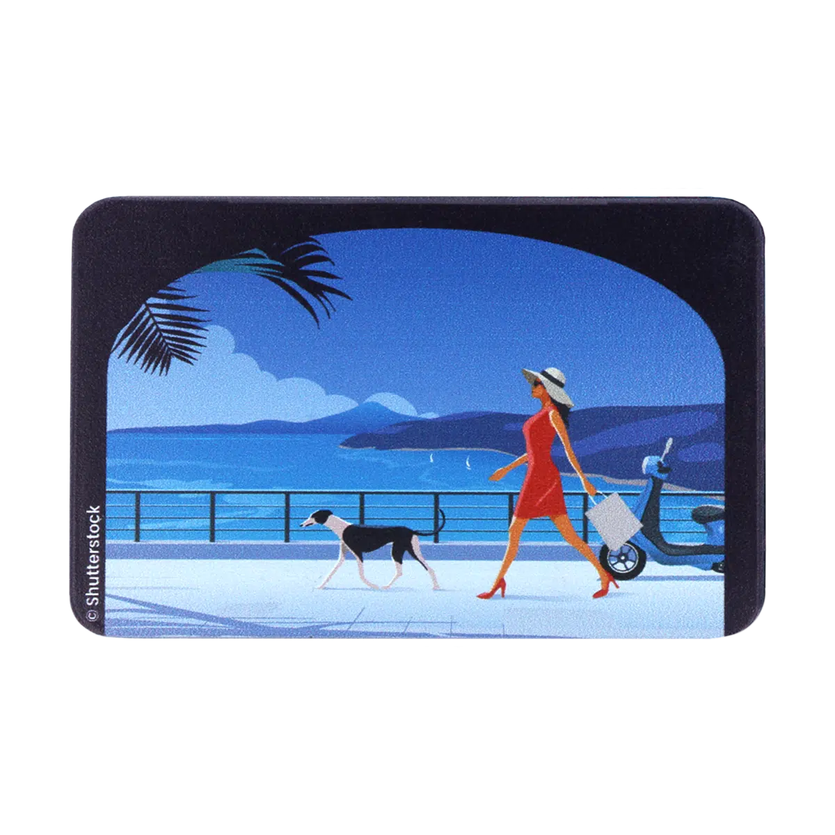 motif arche, carte bancaire, carte de crédit, carte anti-rfid, carte anti-piratage, protège carte bancaire, étui pour carte bancaire ou carte de crédit