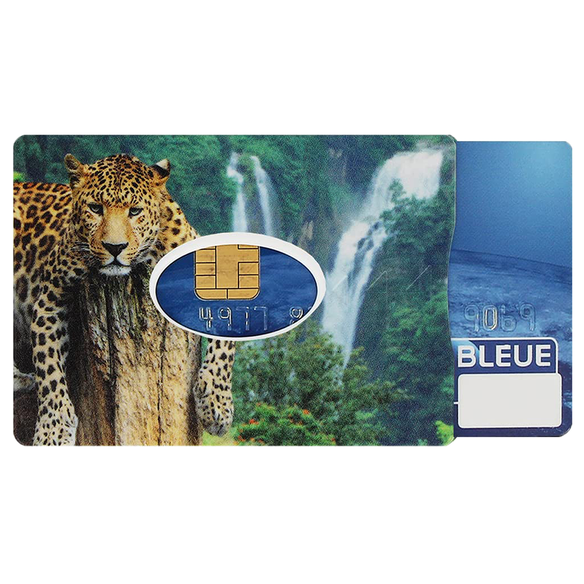 étui carte rigide Color Pop fabrication française