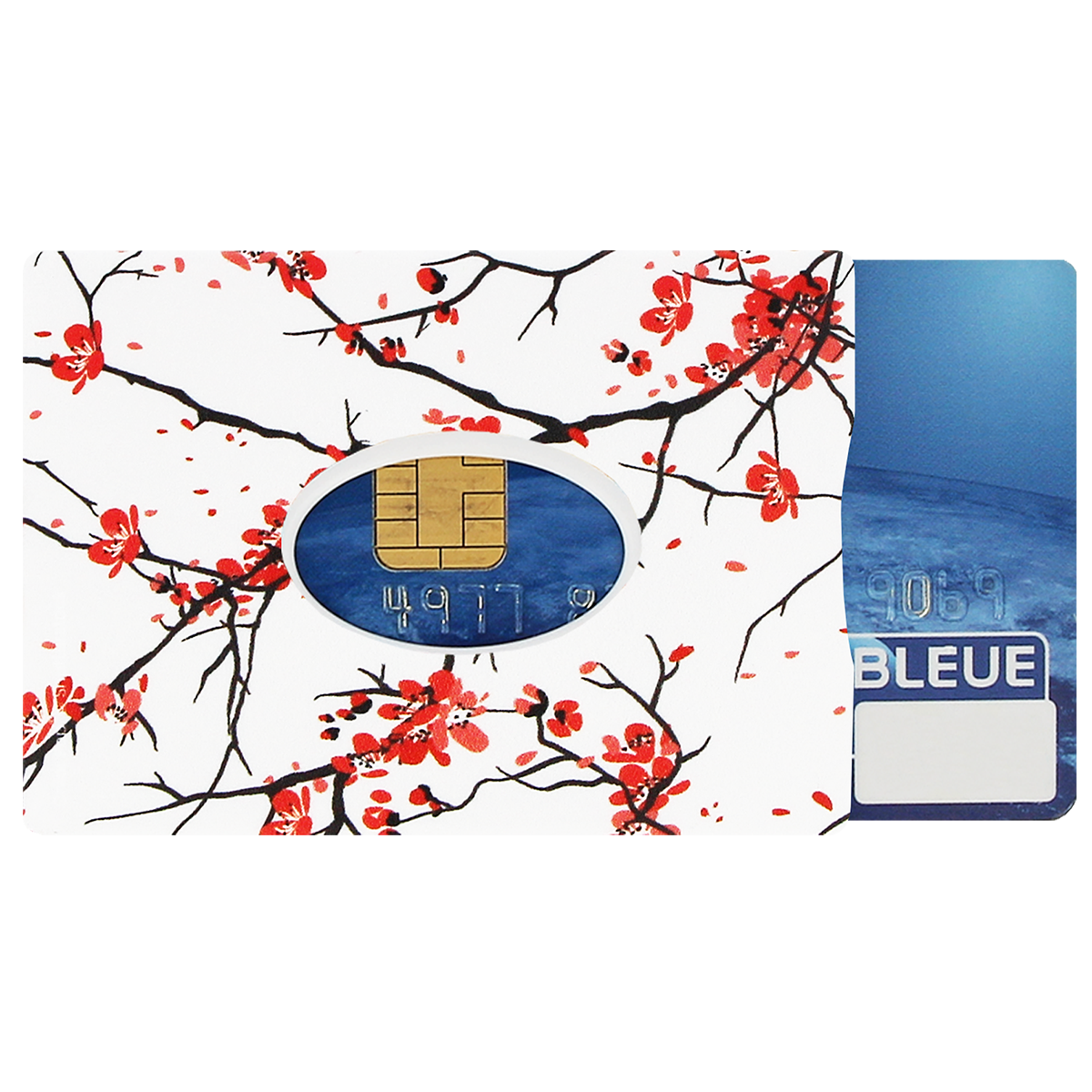 étui carte rigide Color Pop fabrication française