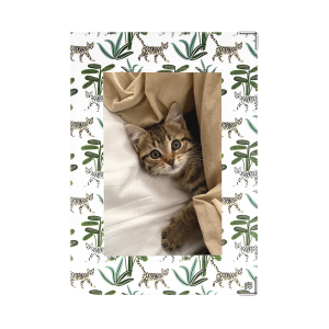 Étui santé animaux personnalisable carnet vaccination Color Pop fabrication française