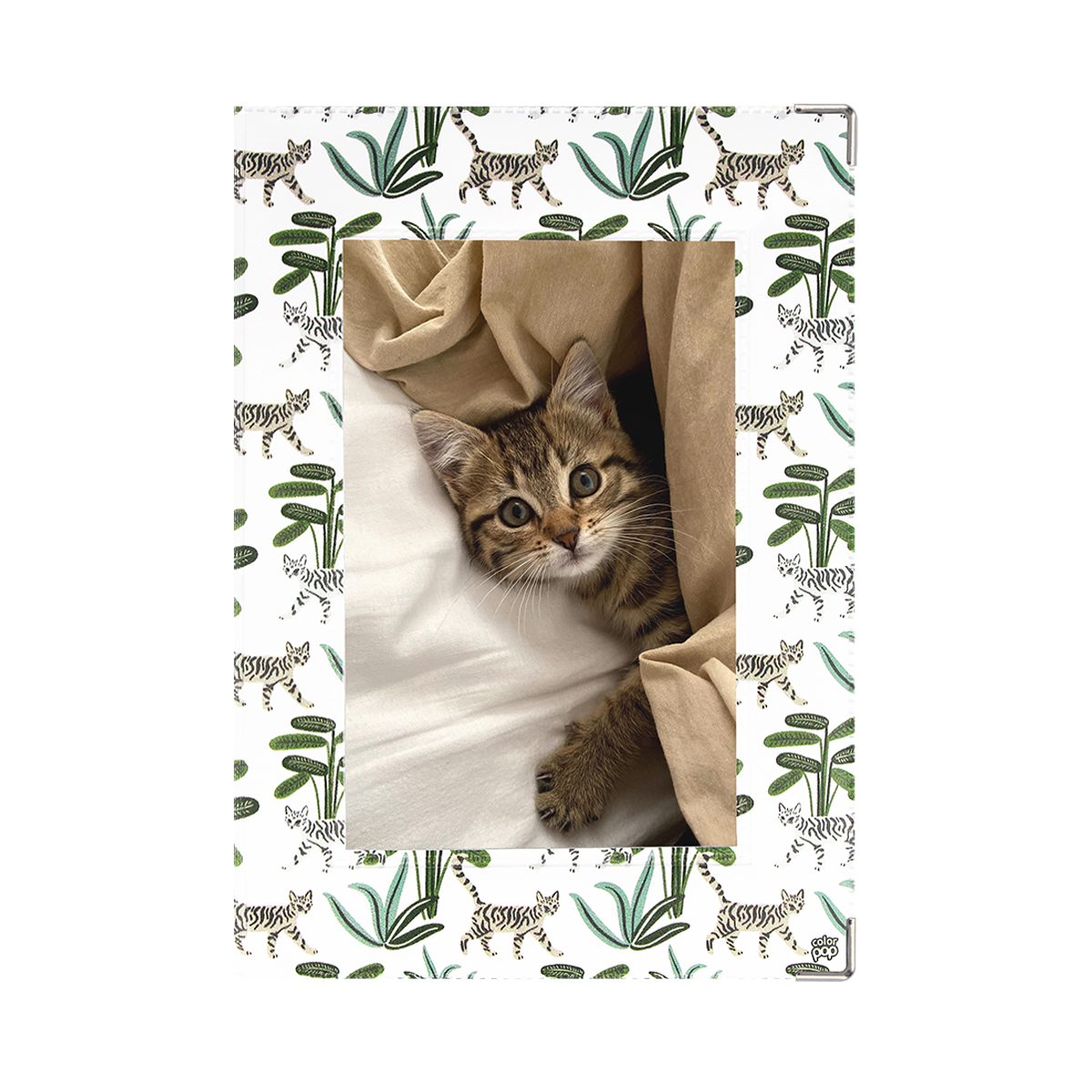 Étui santé animaux personnalisable carnet vaccination Color Pop fabrication française