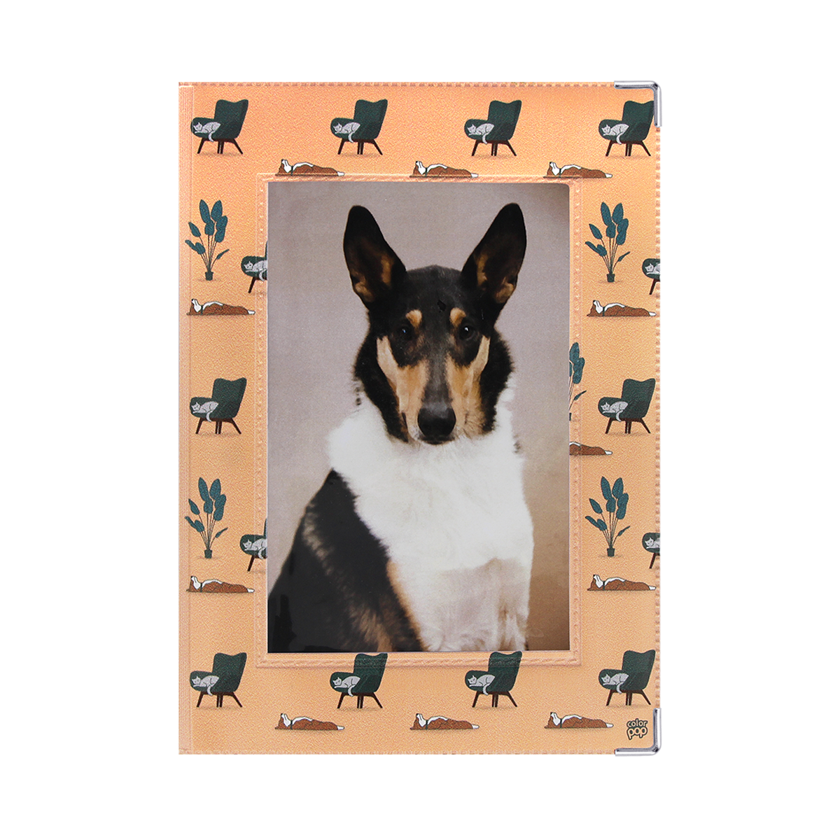 Étui santé animaux personnalisable carnet vaccination Color Pop fabrication française