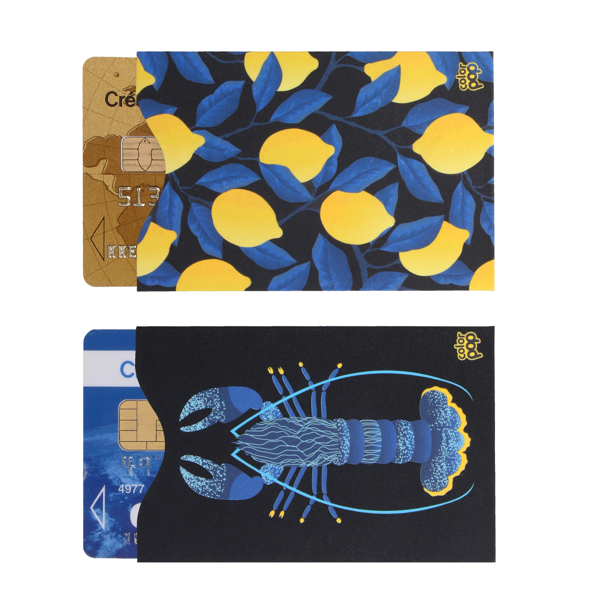 Lot de 2 étuis carton anti-RFID Color Pop