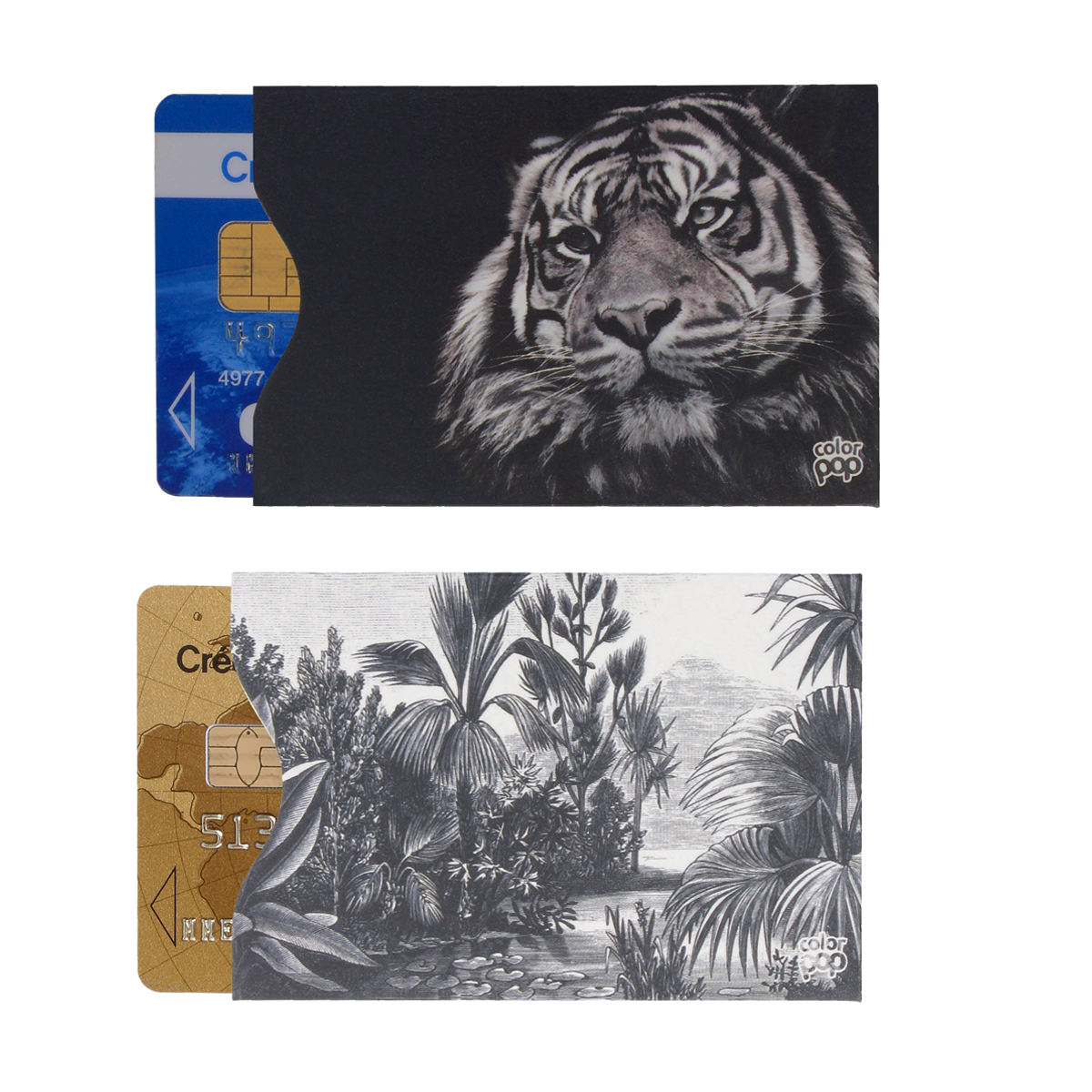 Lot de 2 étuis carton anti-RFID Color Pop